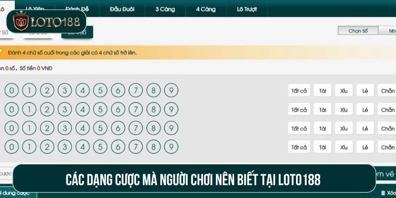 Các dạng cược mà người chơi nên biết tại Loto188