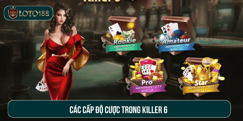 Đa dạng cấp độ cược trong Killer